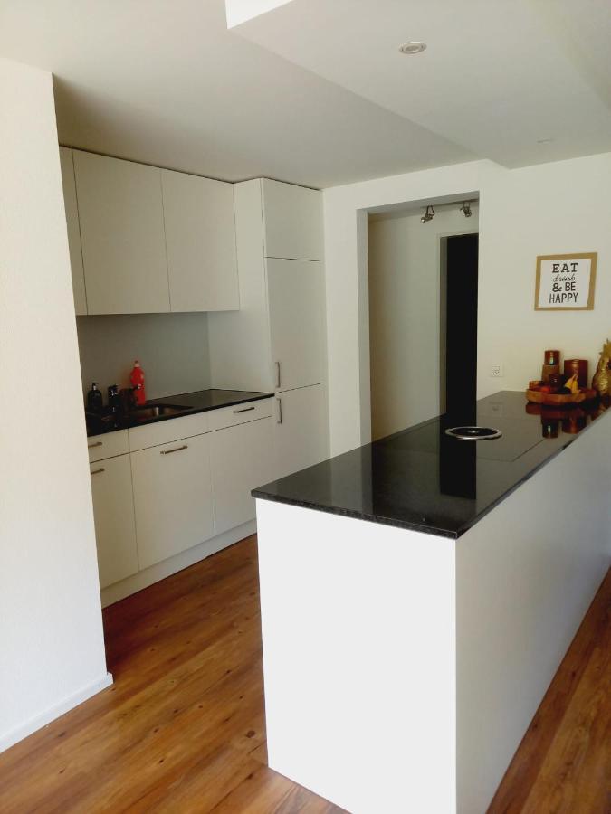 Neue Wohnung An Stadtrand Mit Parkplatz Ebikon Екстериор снимка